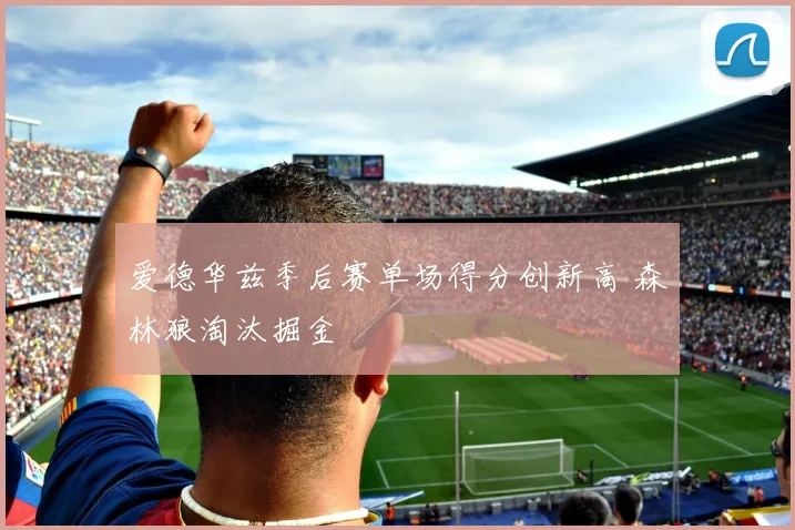 爱德华兹季后赛单场得分创新高 森林狼淘汰掘金