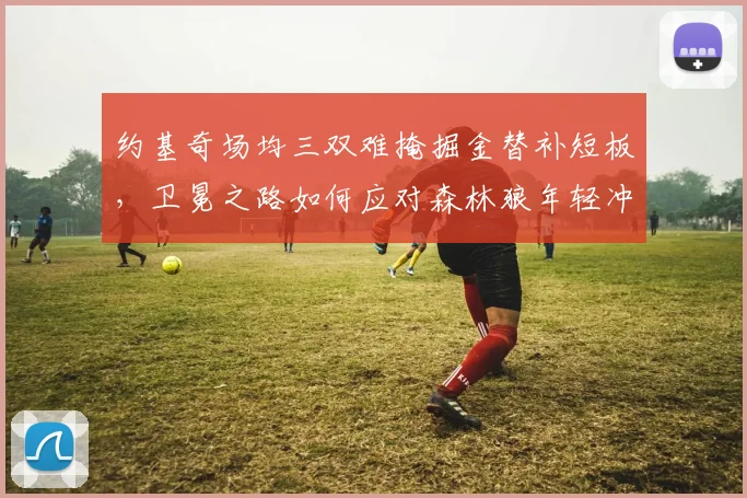 约基奇场均三双难掩掘金替补短板，卫冕之路如何应对森林狼年轻冲击？